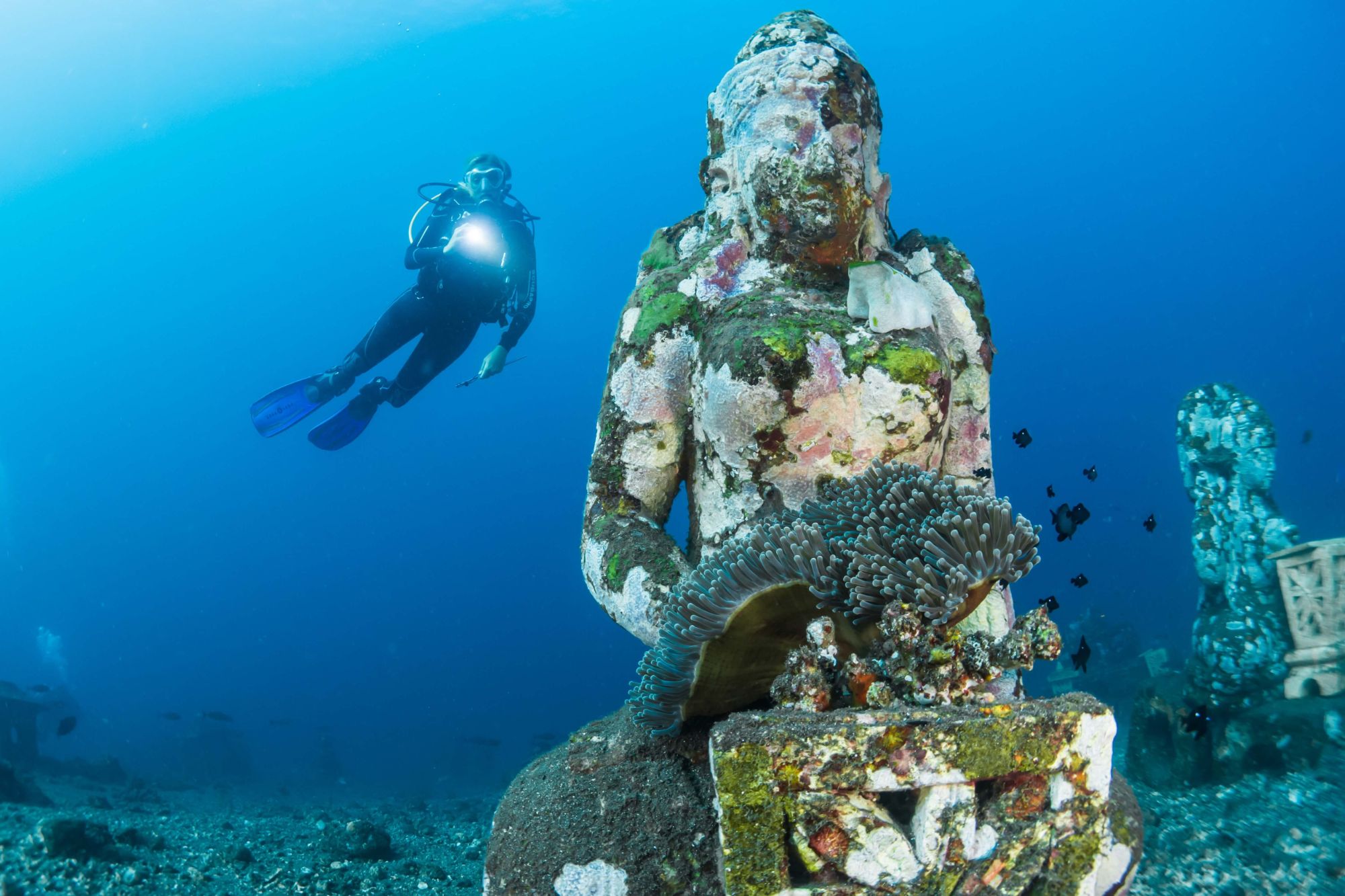 Scuba diver discovers an ancient statue under water